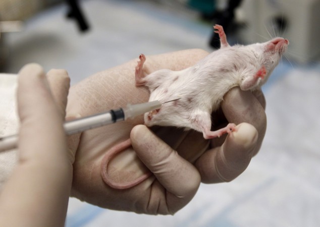 Union Government bans repeat animal testing of drugs
