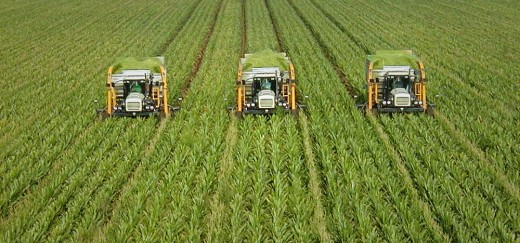 Mizoram Government, JICA ink MoU for promoting Sustainable Agriculture