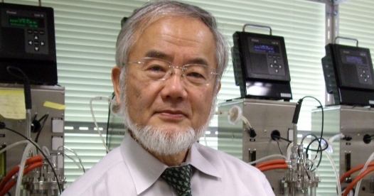 Japan’s Yoshinori Ohsumi wins 2016 Nobel Prize in Medicine