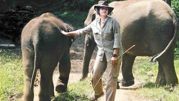 Elephant researcher Prajna Chowta conferred with knighthood by France