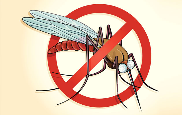 WHO declares Sri Lanka malaria-free