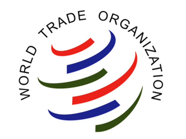 India takes US renewable energy dispute to WTO