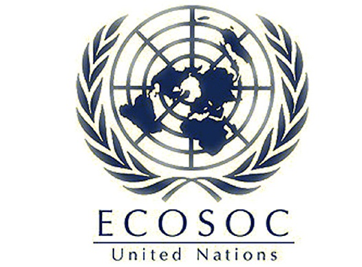 India re-elected to ECOSOC