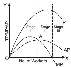 Managerial Economics mcq question image