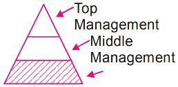 Values and Ethics in Management mcq question image