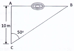 Mine Surveying mcq question image