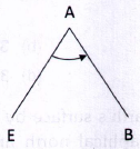 Mine Surveying mcq question image