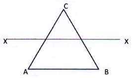 Mine Surveying mcq question image