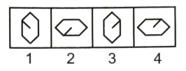 Classification  in Non Verbal Reasoning mcq question image