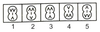 Classification in Non Verbal Reasoning mcq question image