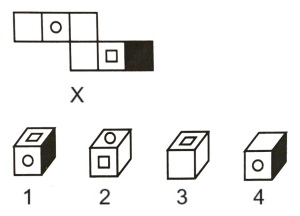 Cubes and Dice mcq question image