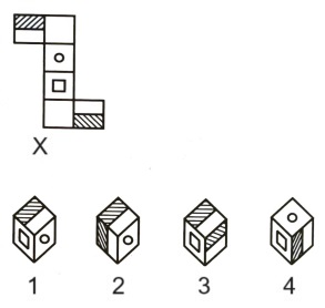 Cubes and Dice mcq question image