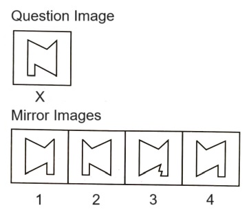 Mirror Images mcq question image