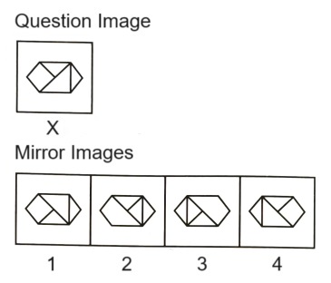 Mirror Images mcq question image