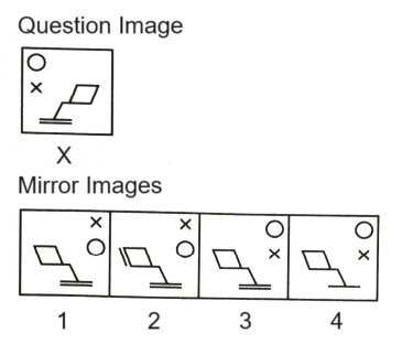 Mirror Images mcq question image