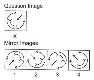 Mirror Images mcq question image