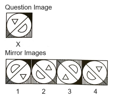 Mirror Images mcq question image