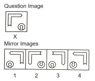 Mirror Images mcq question image