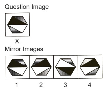 Mirror Images mcq question image