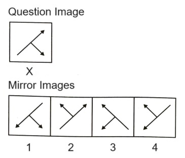 Mirror Images mcq question image