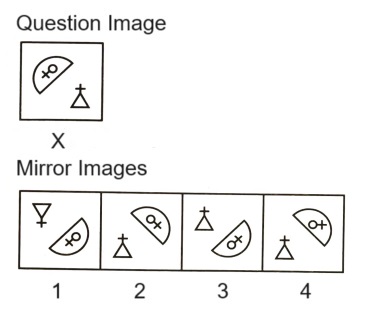 Mirror Images mcq question image