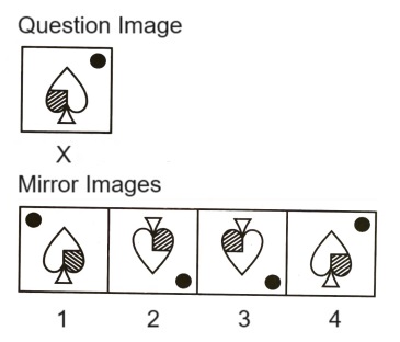 Mirror Images mcq question image