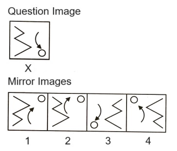 Mirror Images mcq question image