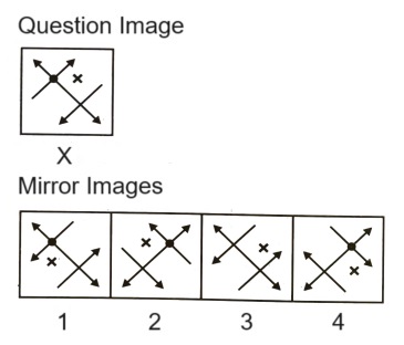Mirror Images mcq question image