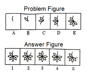 Series in Non Verbal Reasoning mcq question image Series in Non Verbal Reasoning mcq question image