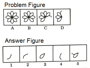 Series in Non Verbal Reasoning mcq question image