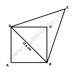 Area mcq solution image