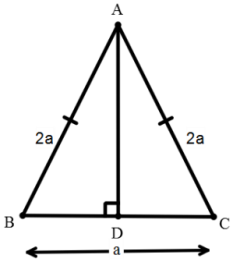 Triangles mcq solution image