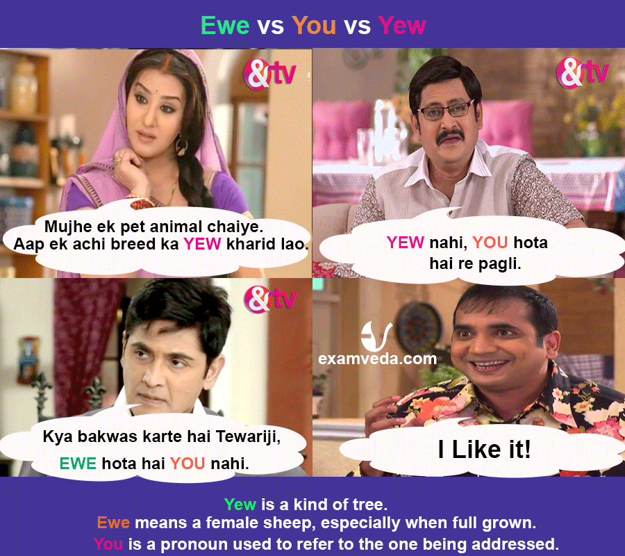 Ewe vs Yew vs You in Bhabhi Ji ghar pe hain style
