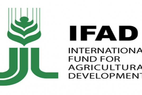 Dinesh Sharma elected as Chairperson of IFAD