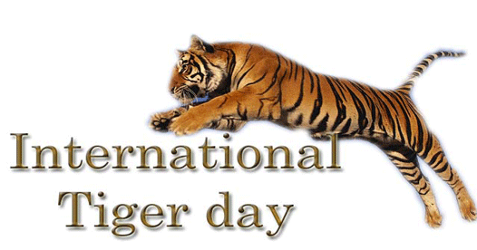 Internation Tiger Day - 29 July