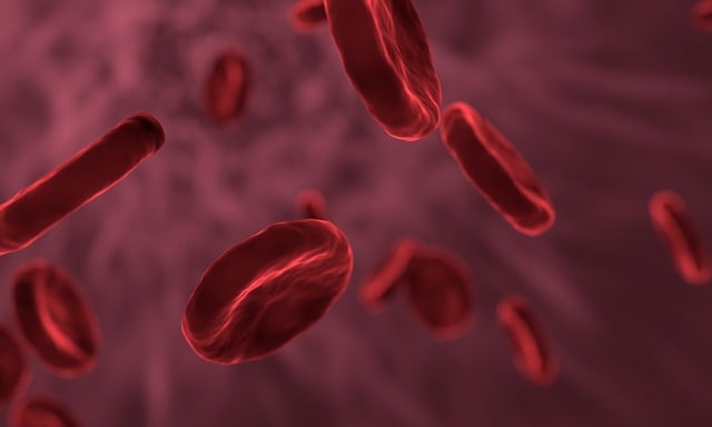 Scientists develop new bio-ink for 3D bio-printing with stem cells
