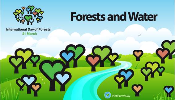 21 March: International Day of Forests