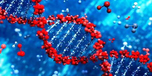 Scientists create world’s smallest thermometer from DNA