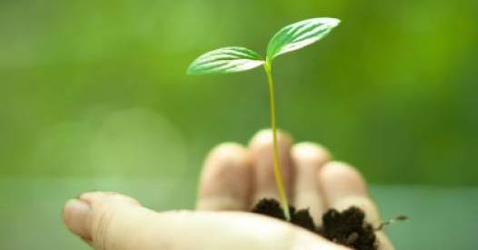 India ranks 20th on 2017 Climate Change Performance Index
