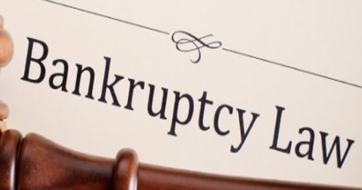 Insolvency and Bankruptcy Board sets up two advisory committees