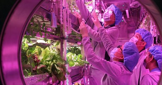 China Simulates Lunar-like Environment