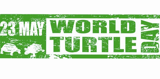 May 23: World Turtle Day