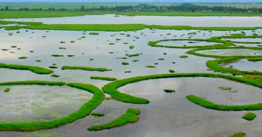 Must Know facts about Loktak Lake
