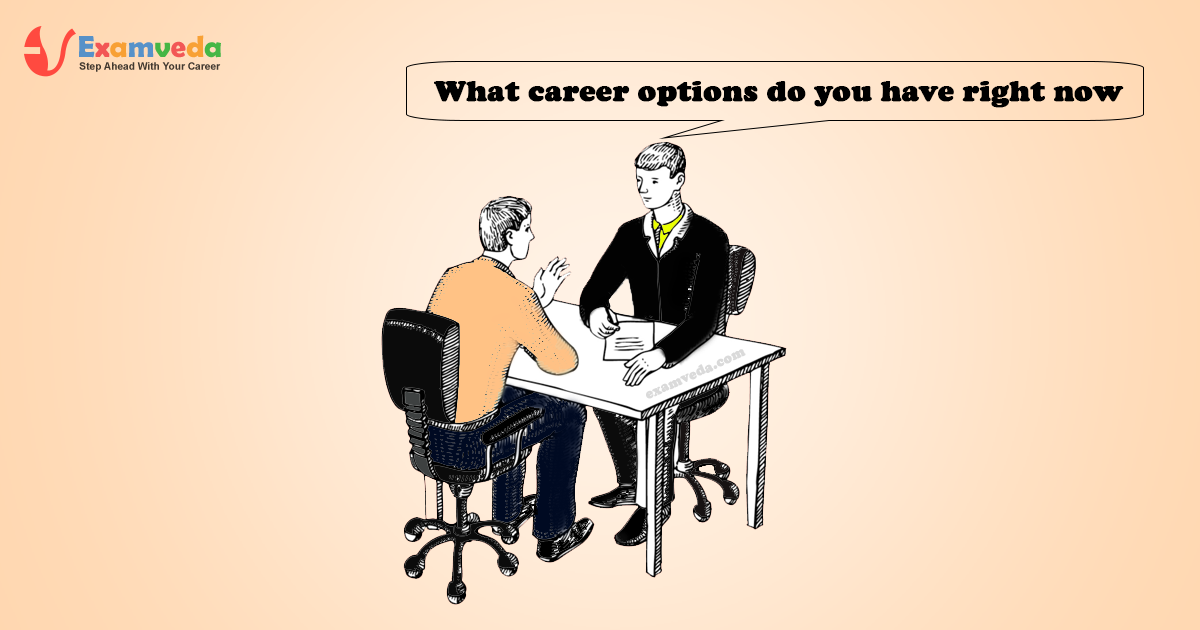 What career options do you have right now