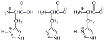 Basics of Organic Reaction Mechanism mcq question image