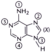 Basics of Organic Reaction Mechanism mcq question image Basics of Organic Reaction Mechanism mcq question image