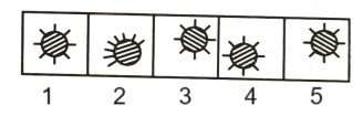 Classification  in Non Verbal Reasoning mcq question image