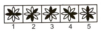 Classification  in Non Verbal Reasoning mcq question image