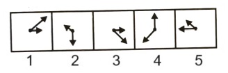 Classification in Non Verbal Reasoning mcq question image Classification in Non Verbal Reasoning mcq question image