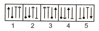 Classification  in Non Verbal Reasoning mcq question image